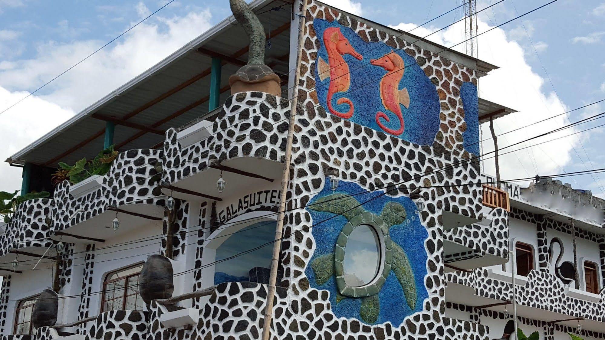 Hotel Coloma Galapagos Puerto Ayora  Buitenkant foto
